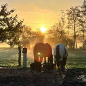 Astrid Kunze vom Reiterhof unter den Linden